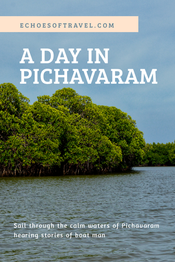 Pichavaram travel guide