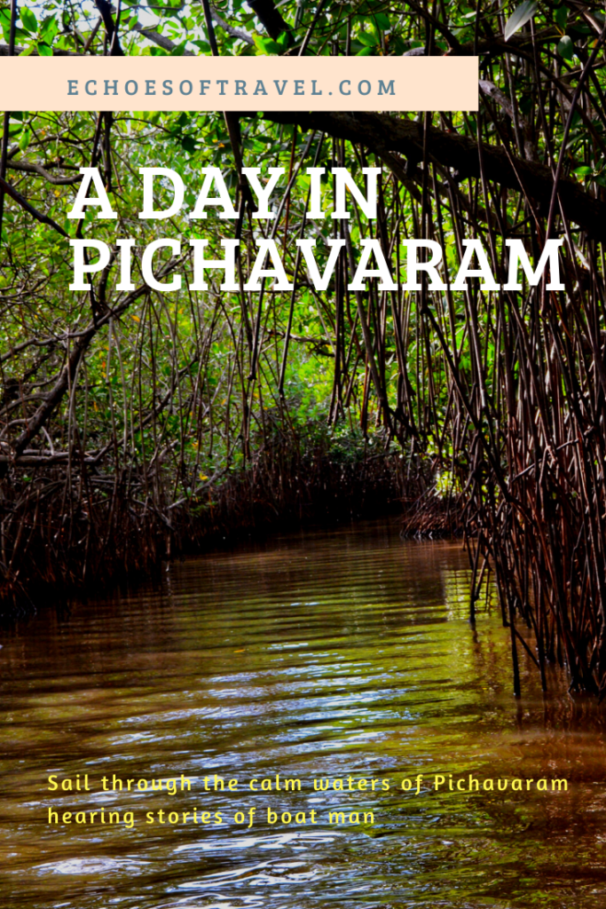 Pichavaram guide