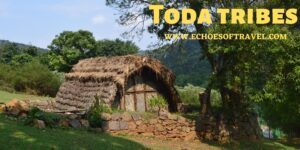 Toda Tribes in Nilgiris