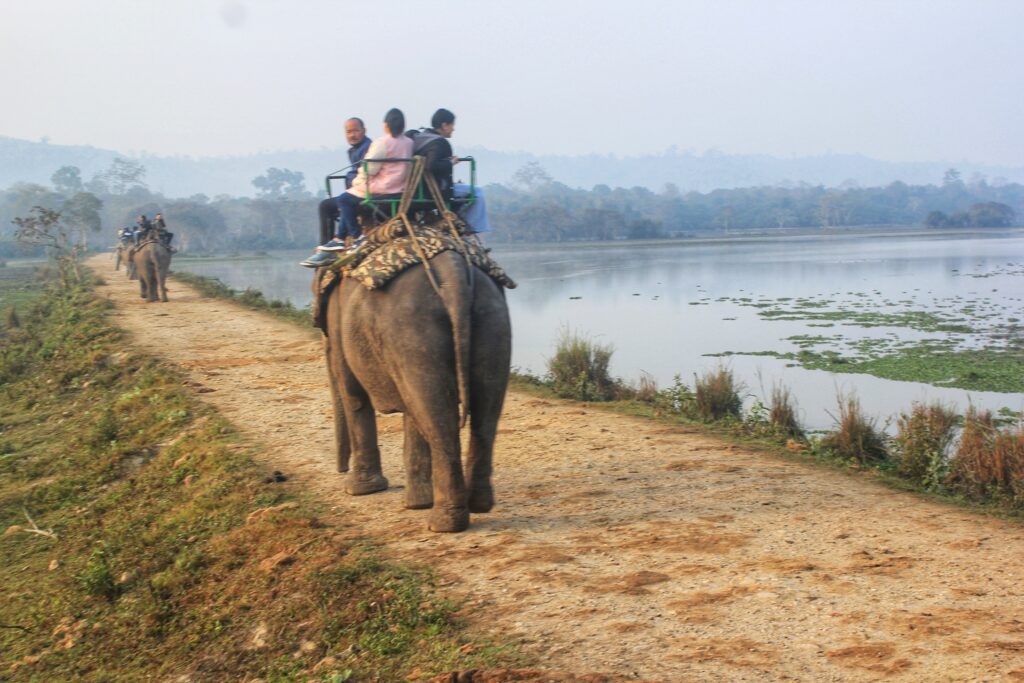 Top things to do in Assam