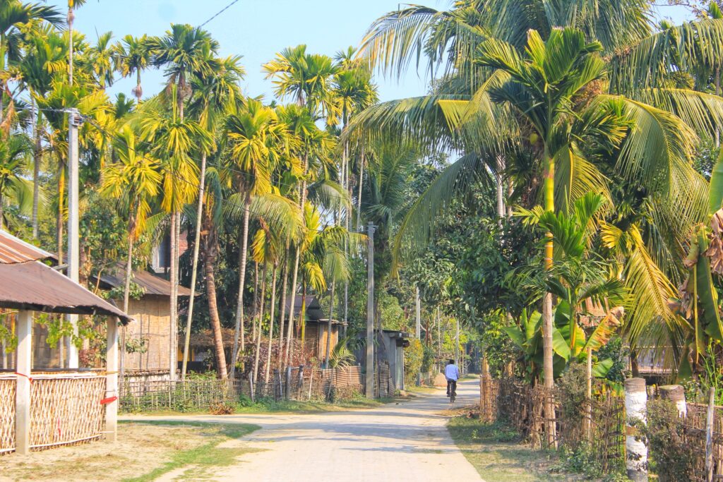 Top things to do in Assam