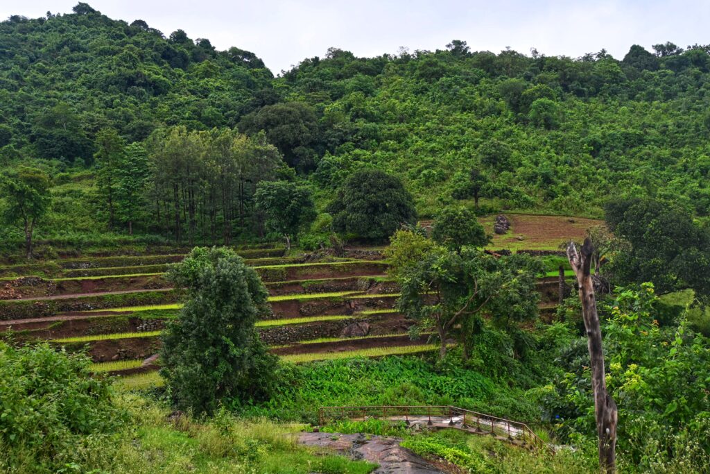 Araku Valley