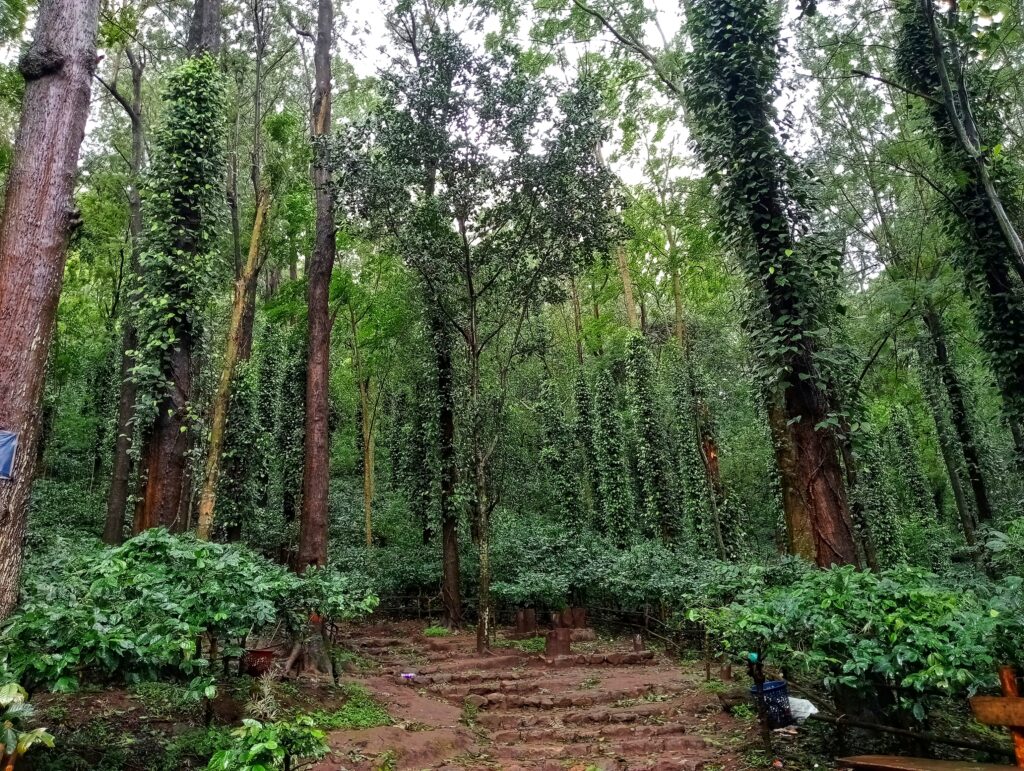 Araku Valley