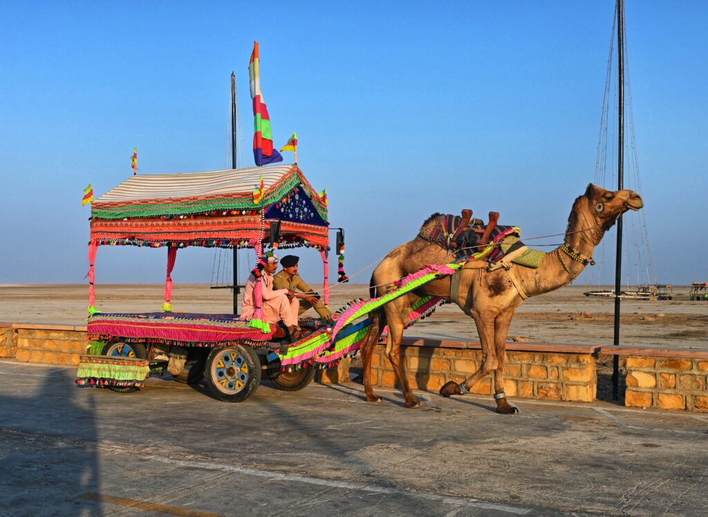 White Rann of Kutch