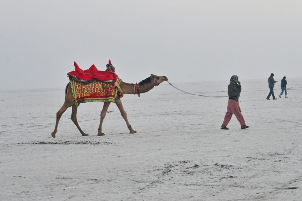 White Rann of Kutch